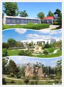 春天賞花 踏青來田瑞生態(tài)園,感受美不勝收的生態(tài)景觀