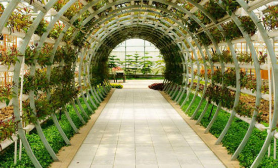 國(guó)鴻生態(tài)園 南昌市郊的放松休閑勝地(2)