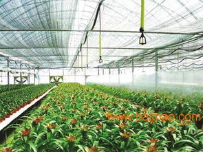 壓力補償式滴頭廠家優(yōu)選潤通節(jié)水灌溉,壓力補償式滴頭廠家優(yōu)選潤通節(jié)水灌溉生產(chǎn)廠家,壓力補償式滴頭廠家優(yōu)選潤通節(jié)水灌溉價格