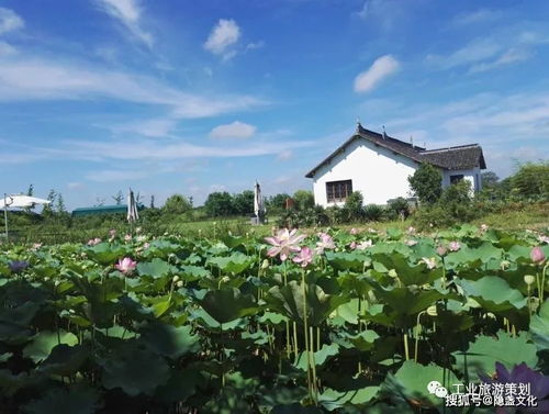 儂不曉得了吧,金山現(xiàn)在了不得了......