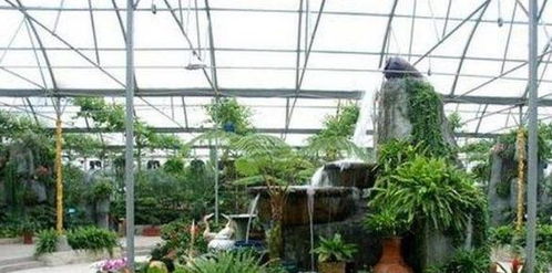 華東地區最大的農業生態觀光園 豐樂生態園