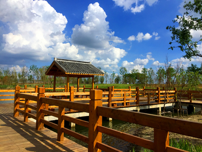 蘇州平望鎮釋放創新力 構筑現代產業發展體系