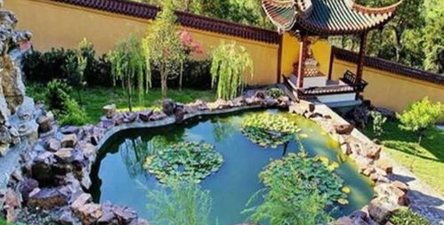 楊氏草莓生態園門票預訂攻略 價格、渠道與游玩指南