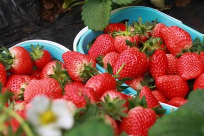 放假了，一定要去生態(tài)園的6個(gè)理由！